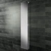 HIB Eris 30 Single Door Mirrored Tall Cabinet 300 X 1700mm - 45300
