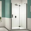 Merlyn Black Hinge Shower Door And Inline Panel