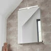 Tavistock Conduct Single Door Mirror Cabinet With Overhead LED Light